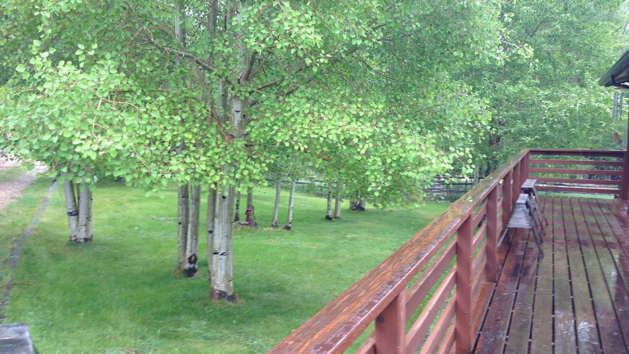 Photo of Patio Balcony in Encampment