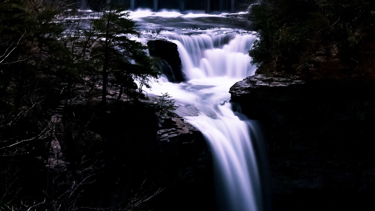 Photo of Others in Mentone