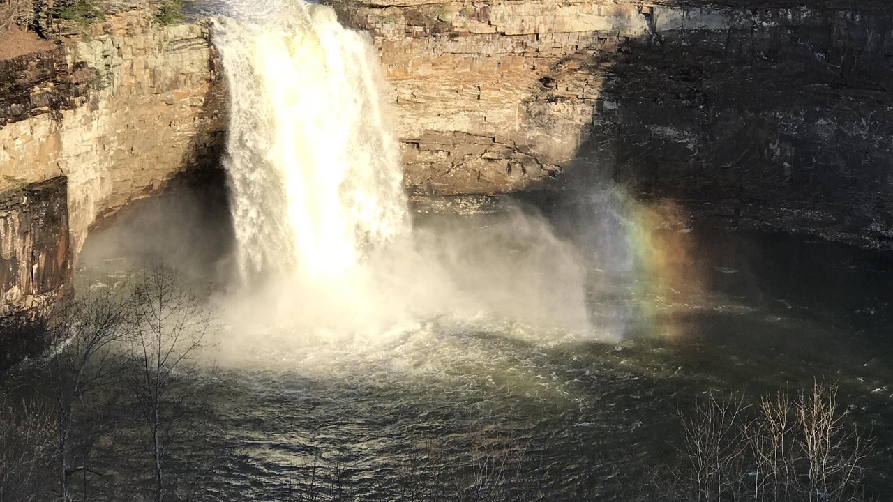 Photo of Others in Mentone