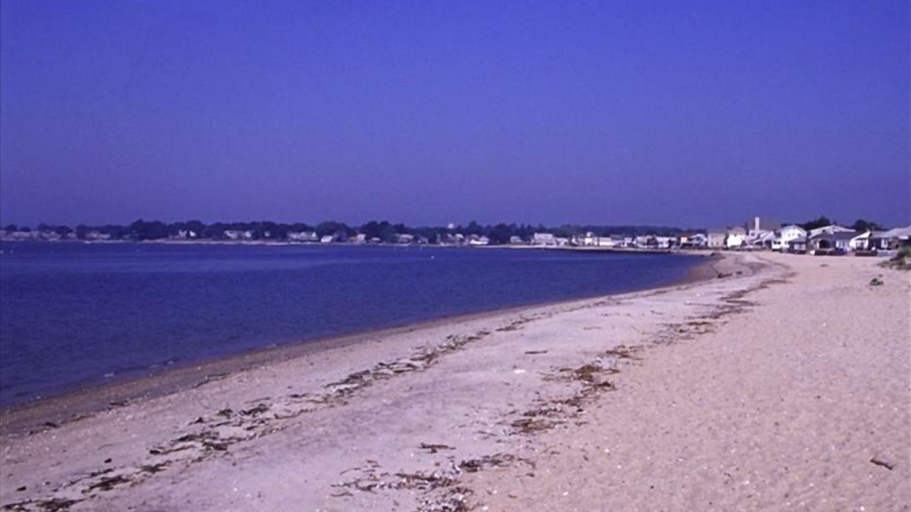 Photo of Others in Saybrook Manor