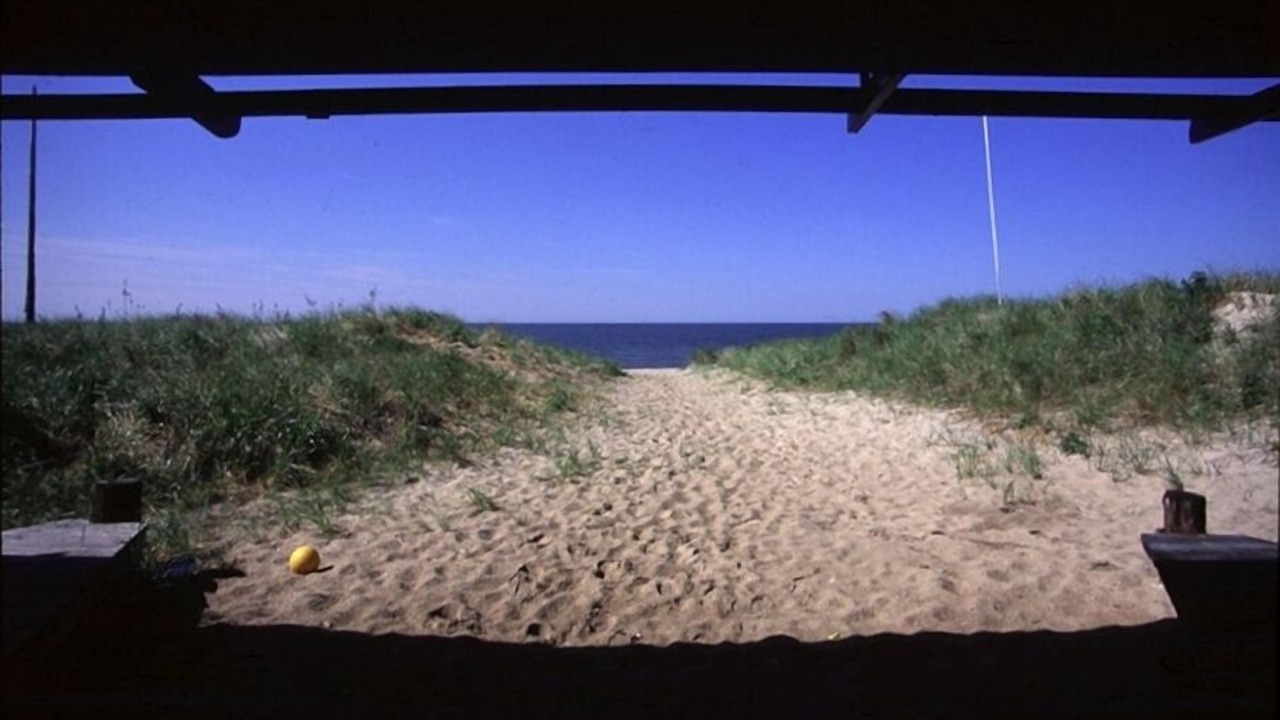 Photo of Outdoor in Saybrook Manor