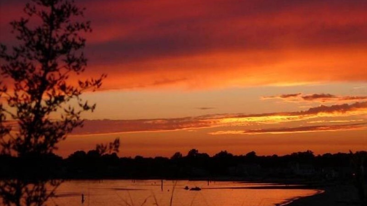 Photo of Others in Saybrook Manor