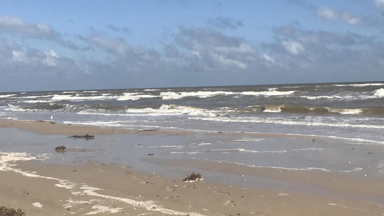 Photo of Others in Matagorda