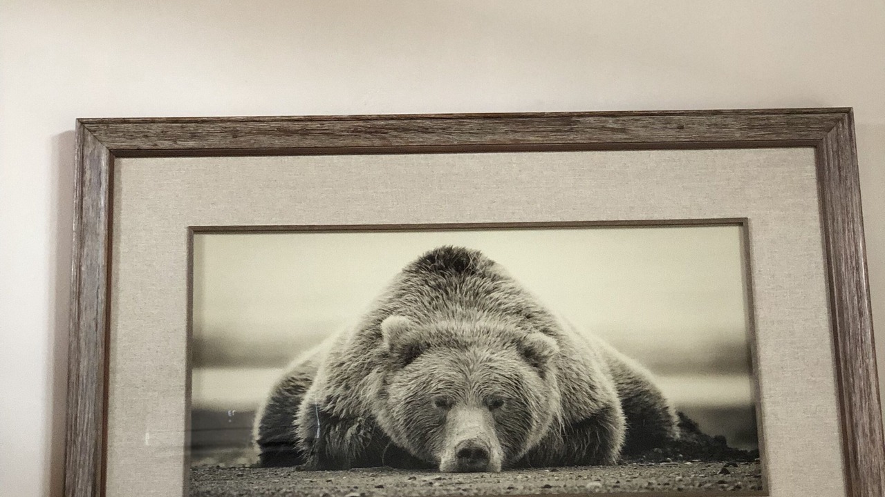 Photo of Others in Sandpoint