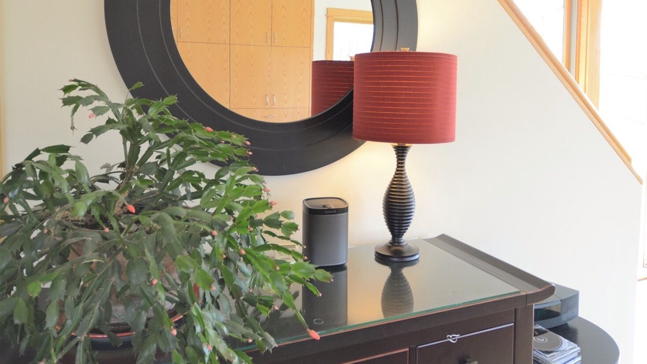 Photo of Others in Ithaca