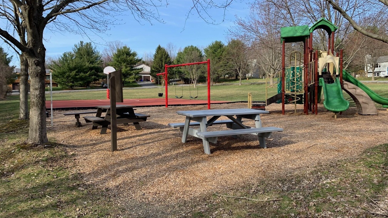 Photo of Others in Ithaca