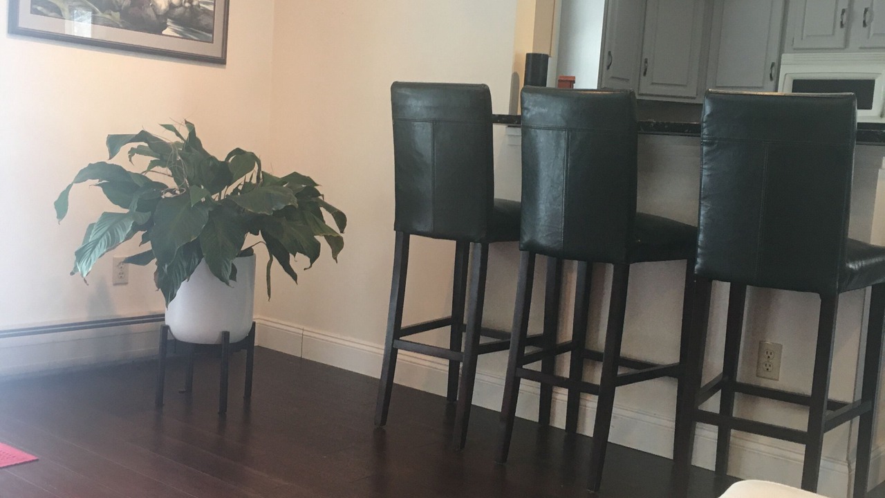 Photo of Bedroom in Ithaca