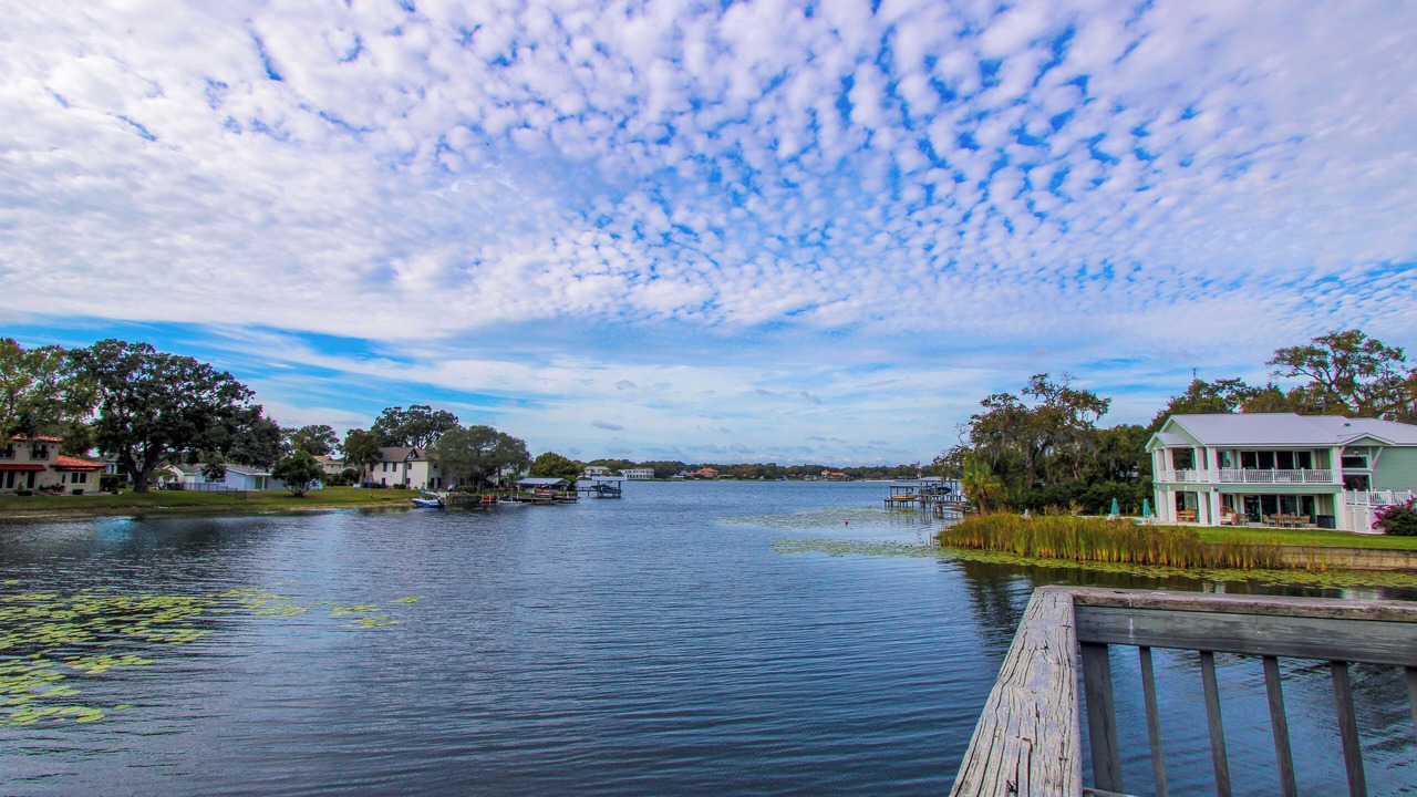 Photo of Others in Carrollwood