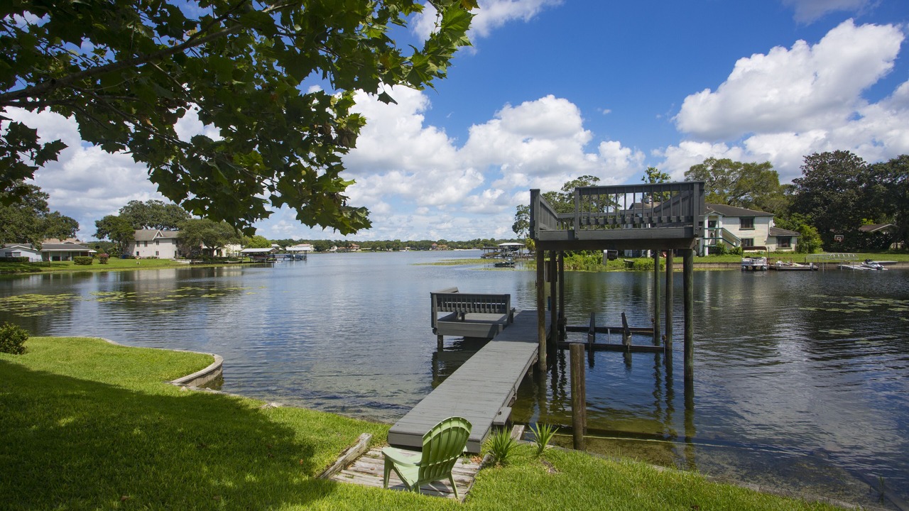 Photo of Outdoor in Carrollwood