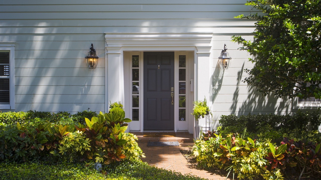 Photo of Outdoor in Carrollwood
