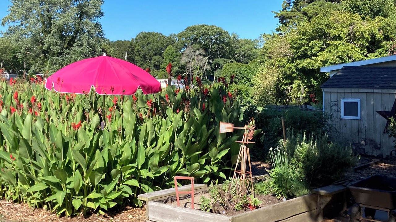 Photo of Outdoor in West Cape May