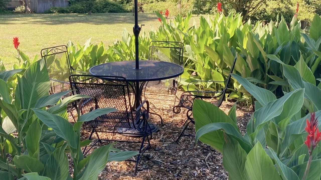 Photo of Outdoor in West Cape May