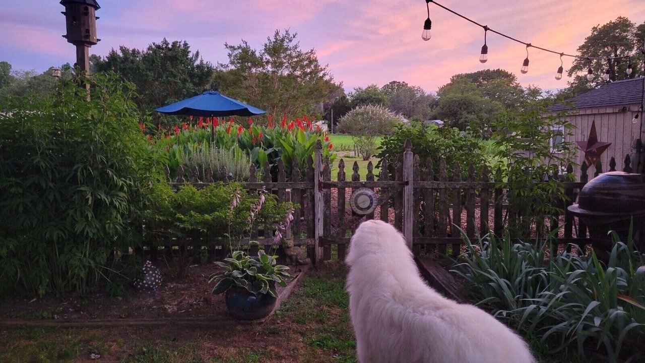 Photo of Outdoor in West Cape May