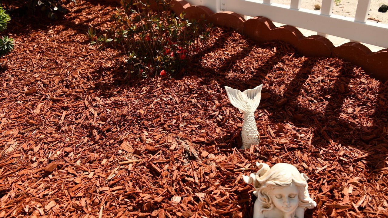 Photo of Outdoor in Mexico Beach