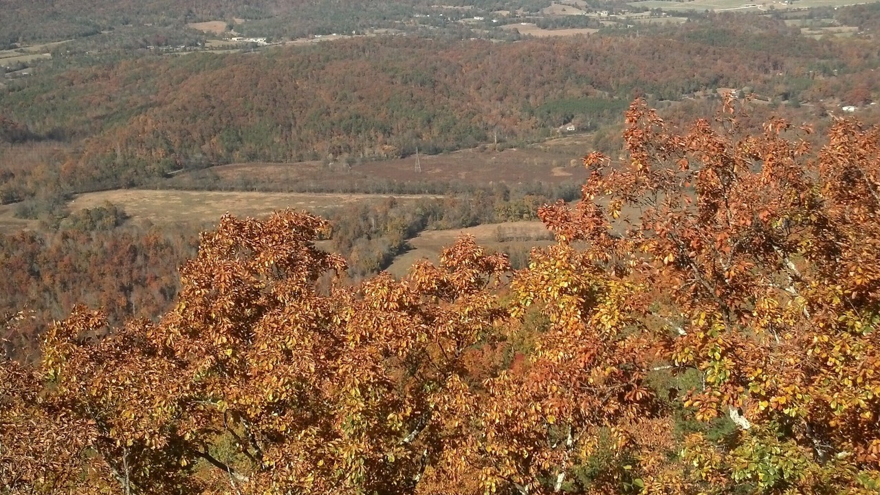 Photo of Others in Lookout Mountain