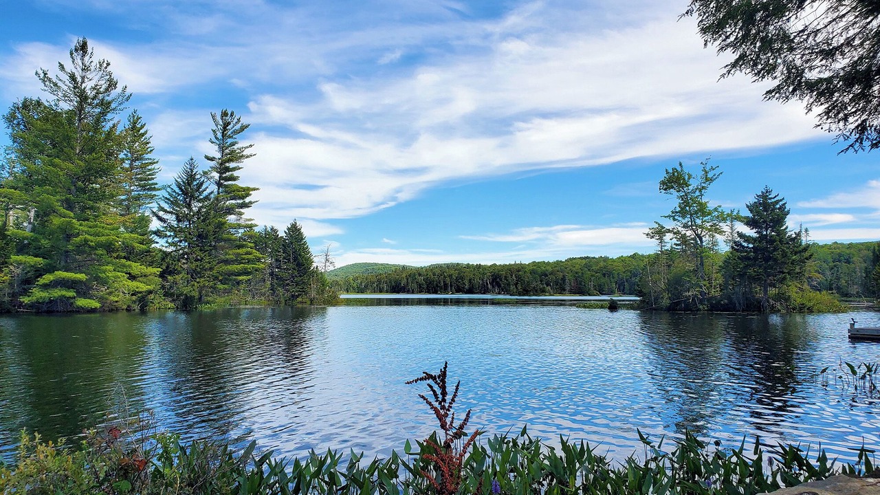 Photo of Others in Indian Lake