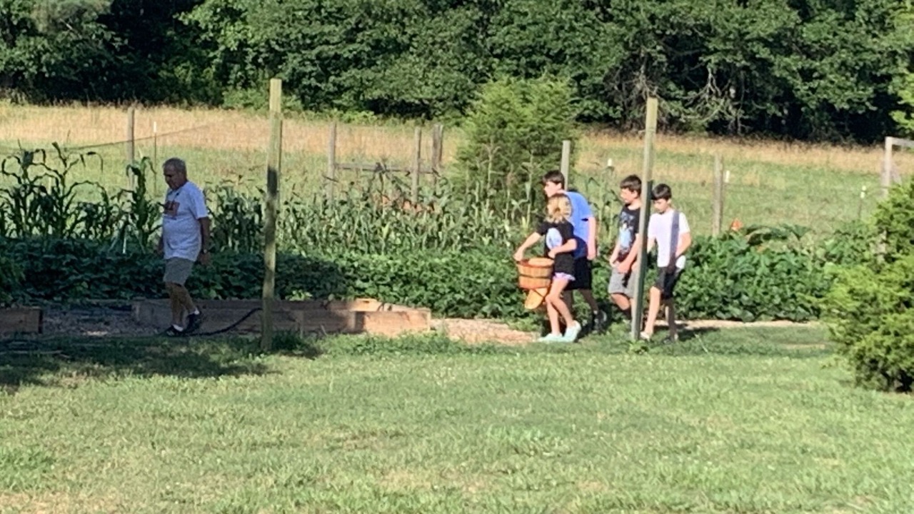 Photo of Outdoor in Farmington