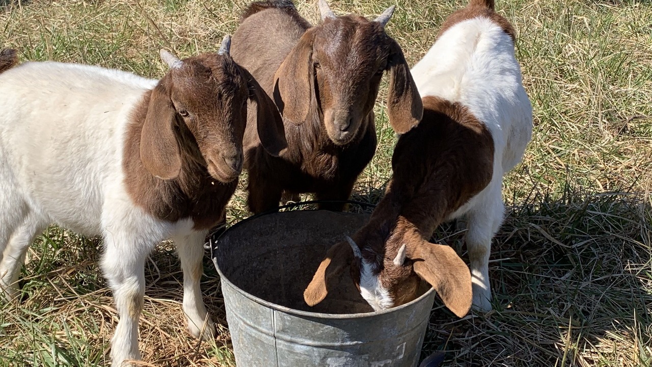 Photo of Others in Farmington