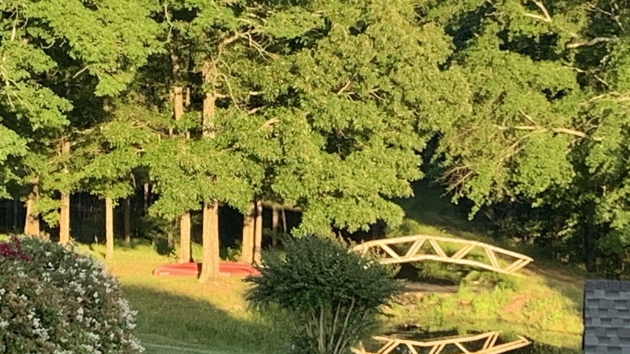 Photo of Others in Farmington