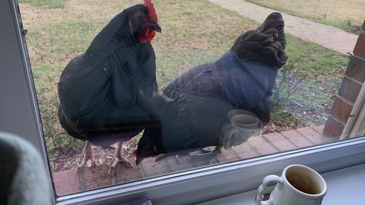 Photo of Others in Farmington