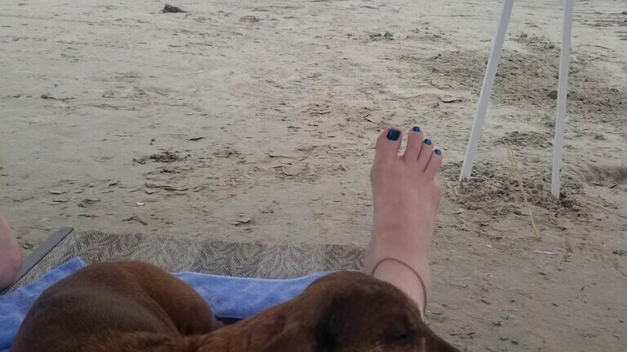 Photo of Others in Bermuda Beach