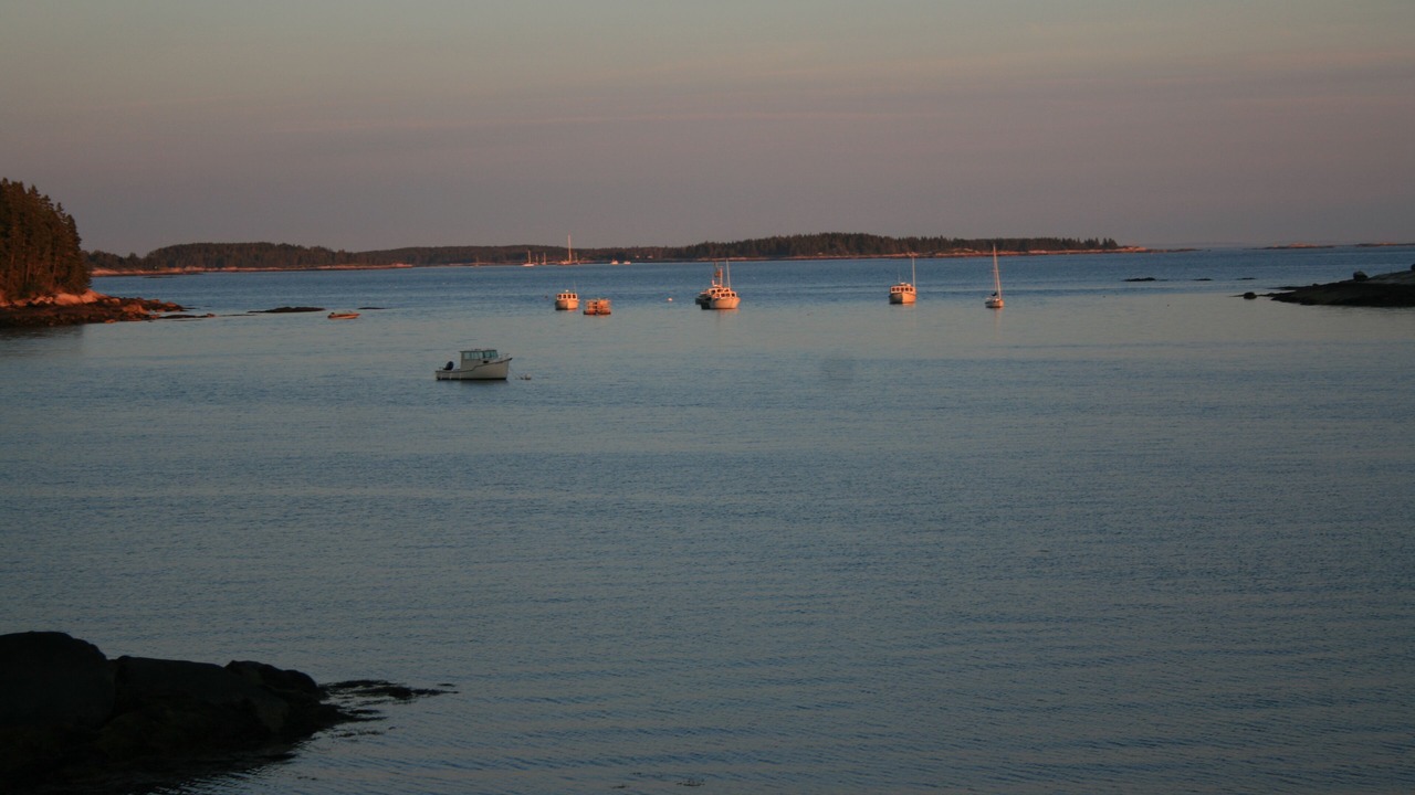 Photo of Others in Owls Head
