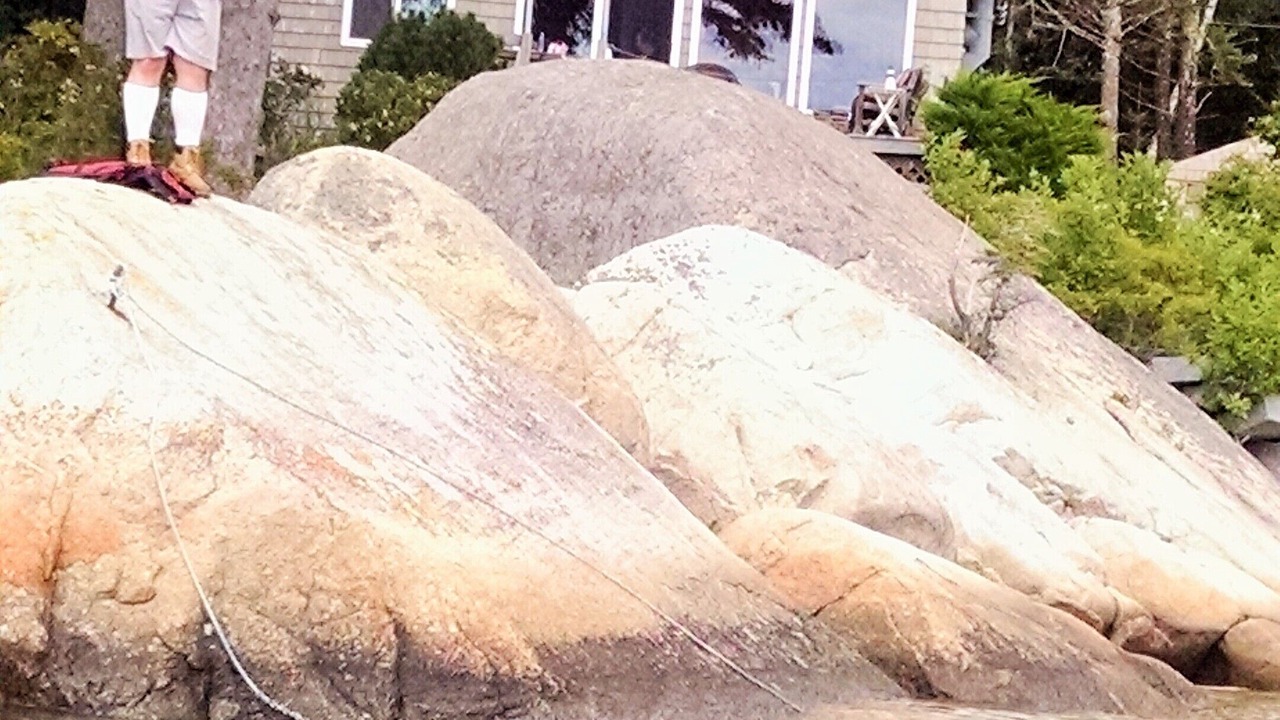 Photo of Others in Owls Head
