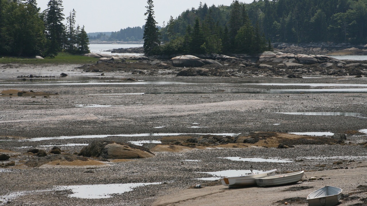 Photo of Others in Owls Head