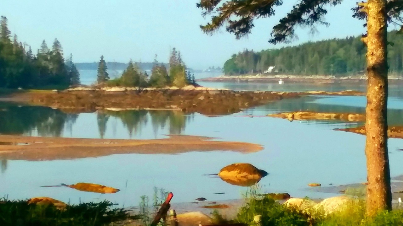 Photo of Others in Owls Head
