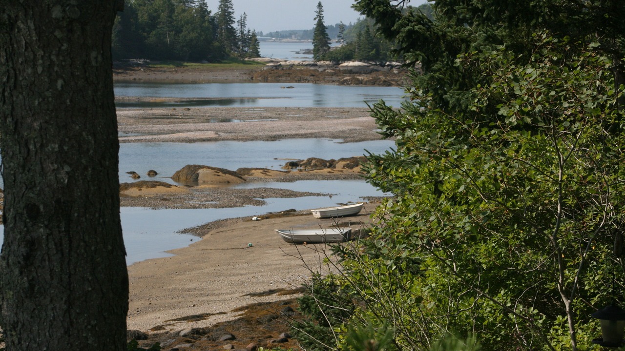 Photo of Others in Owls Head