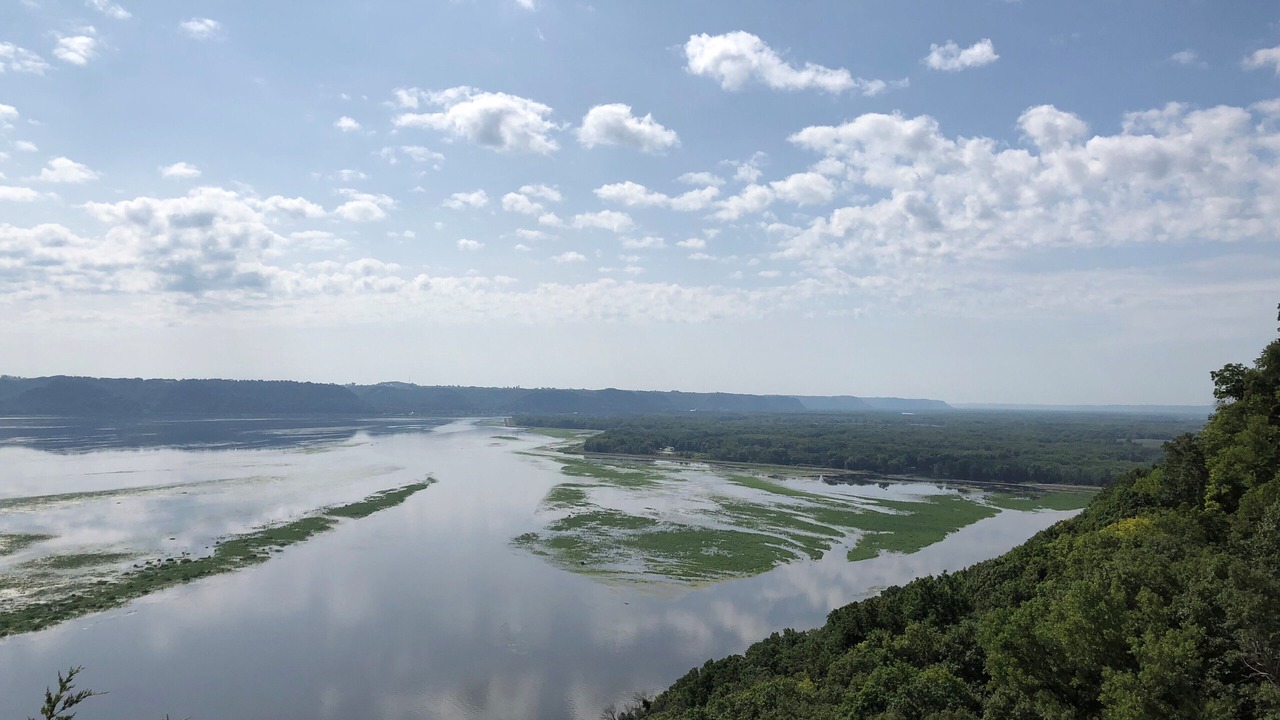 Photo of Others in Brownsville