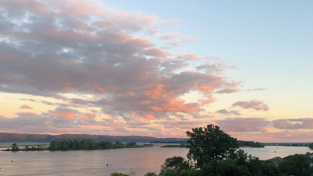 Photo of Others in Brownsville