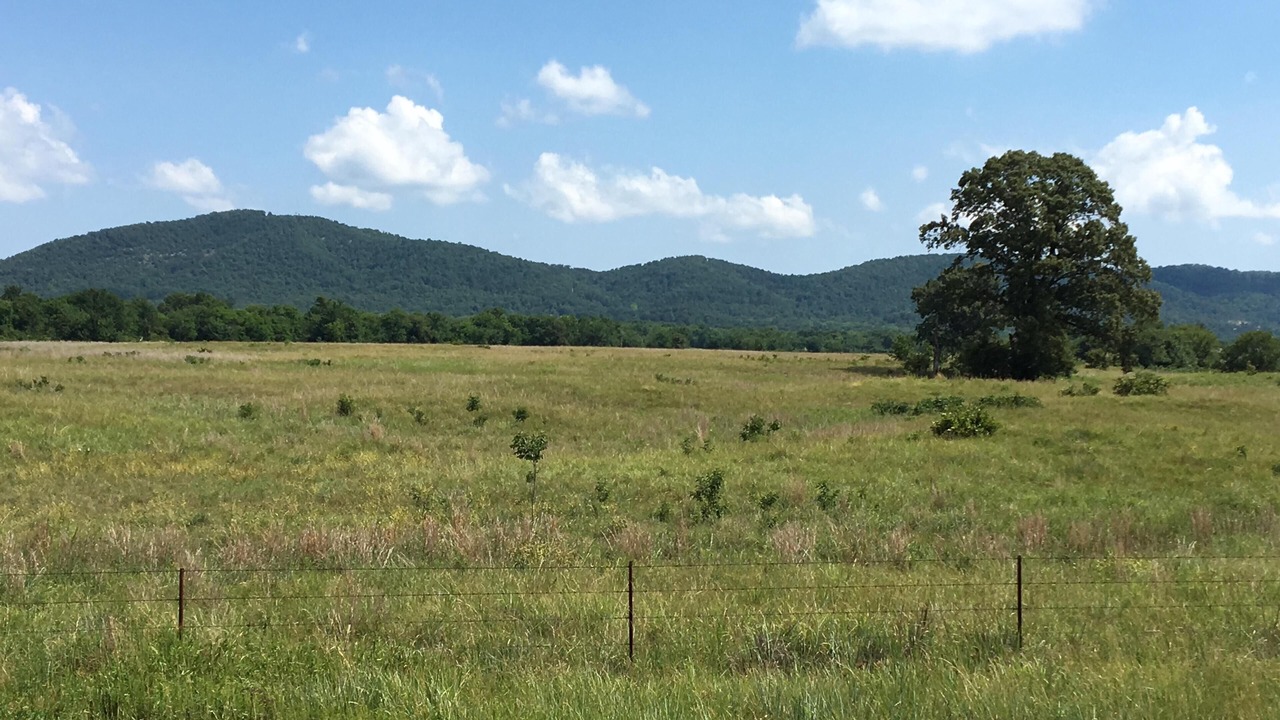 Photo of Outdoor in Tuskahoma