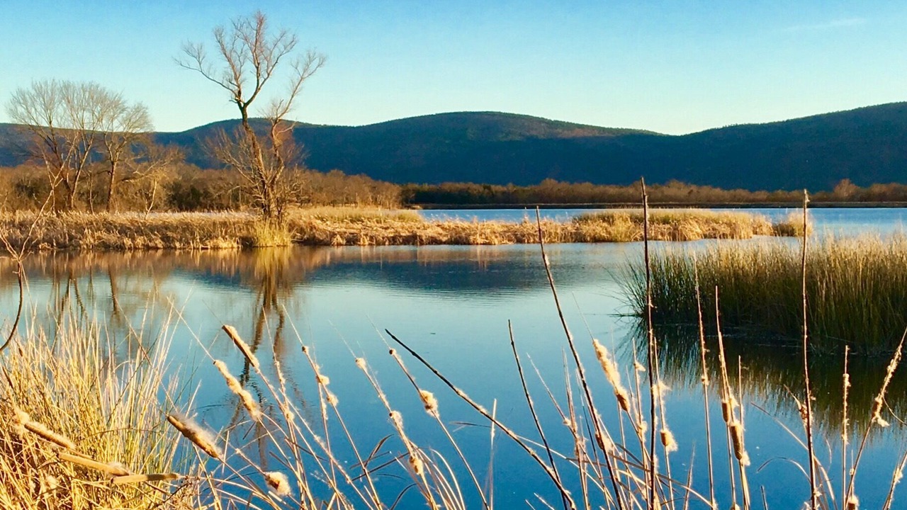 Photo of Outdoor in Tuskahoma