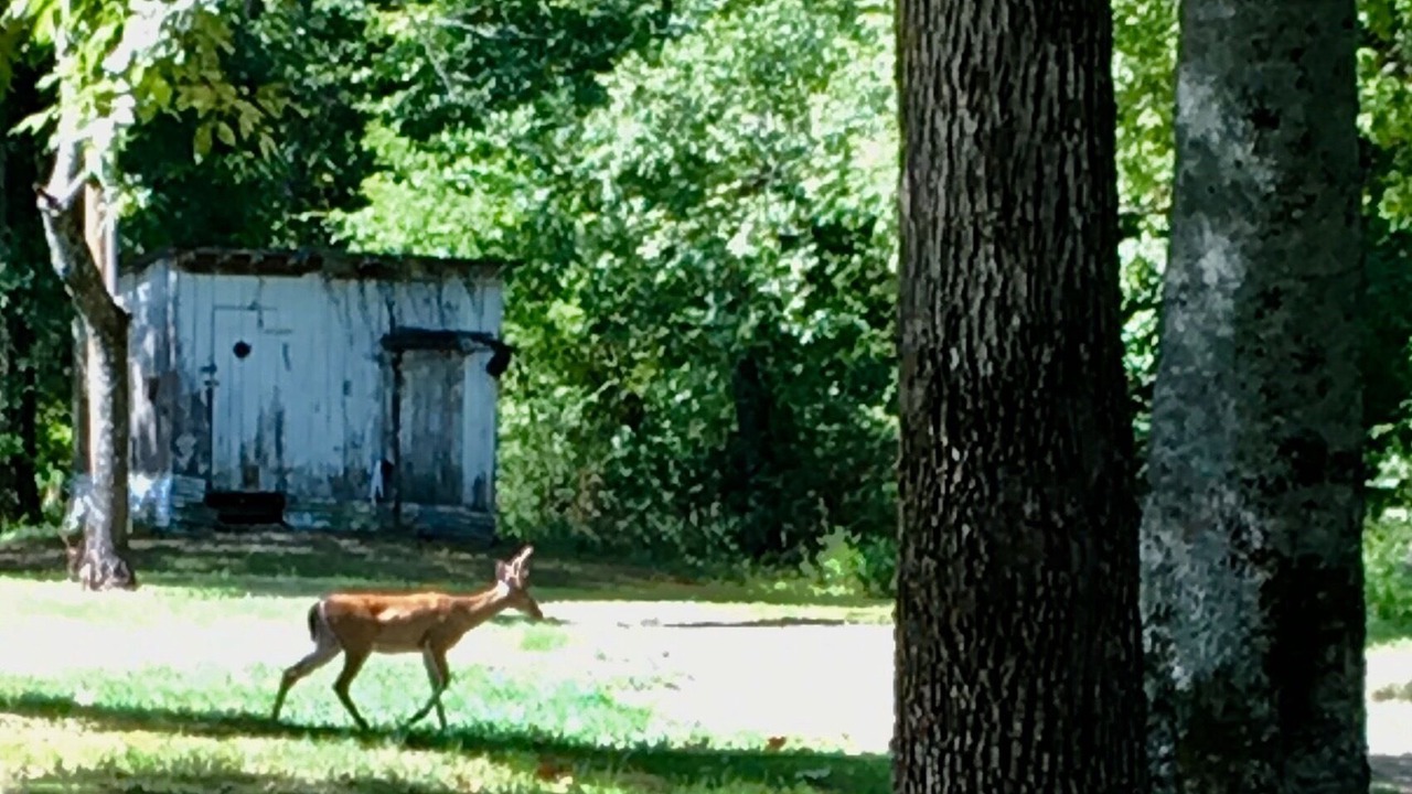 Photo of Outdoor in Tuskahoma
