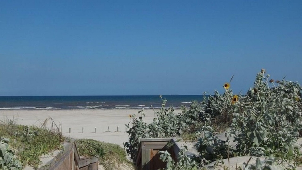 Photo of Others in Sand Point