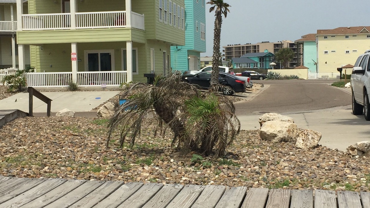 Photo of Others in Sand Point