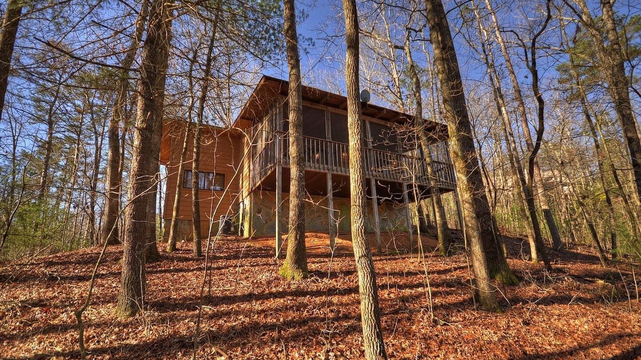 Photo of Outdoor in Ellijay