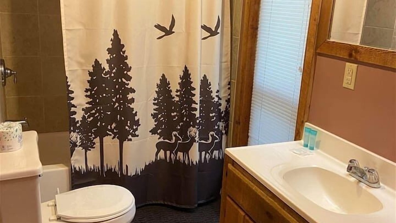 Photo of Bathroom in Ellijay