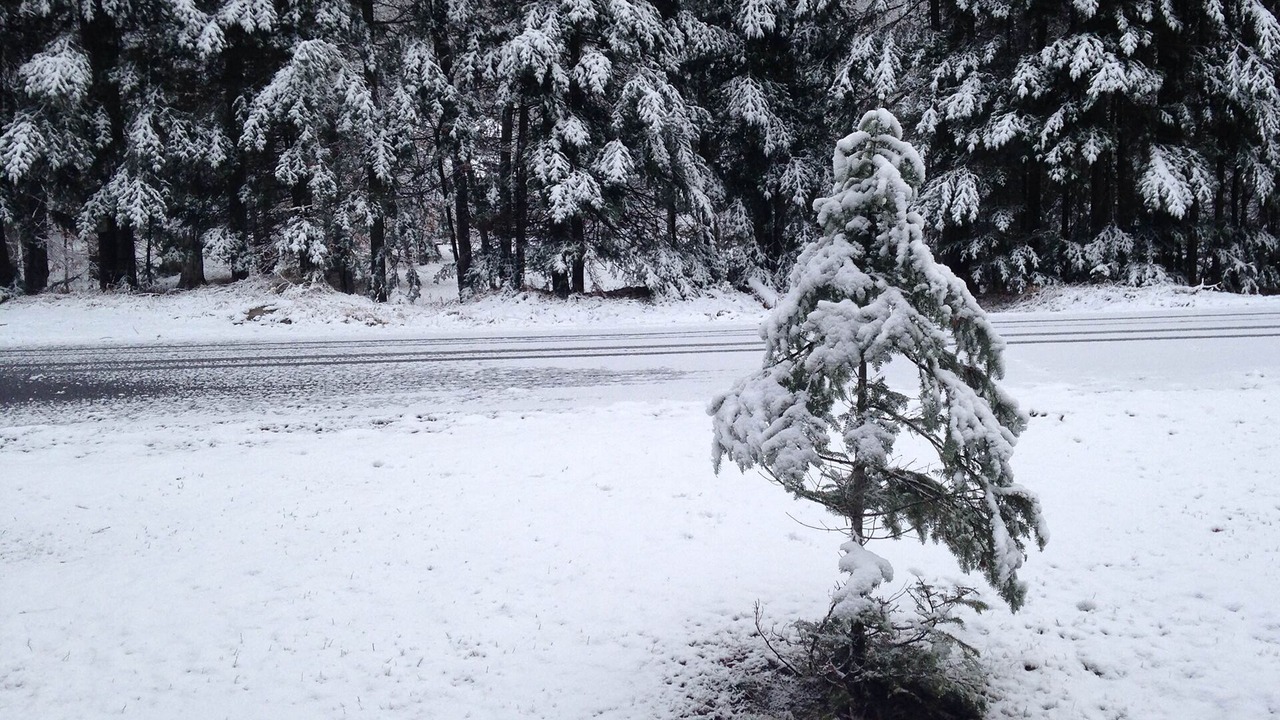 Photo of Others in Town of Webb