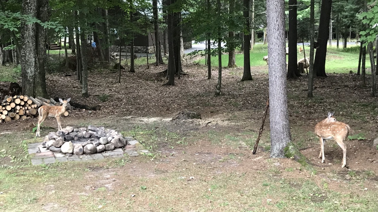 Photo of Outdoor in Town of Webb