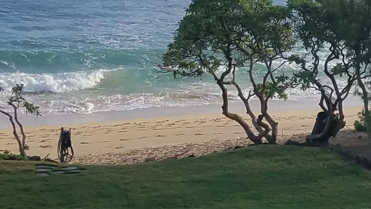 Photo of Others in Laie