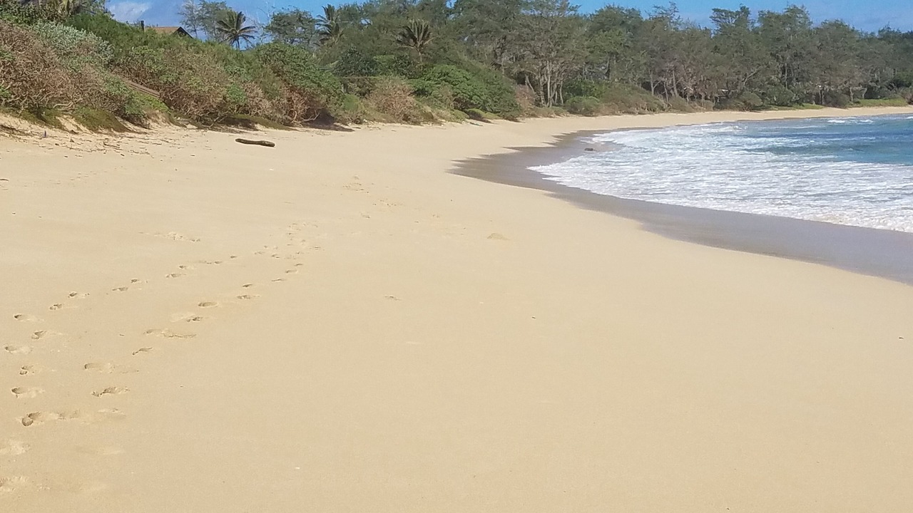 Photo of Others in Laie