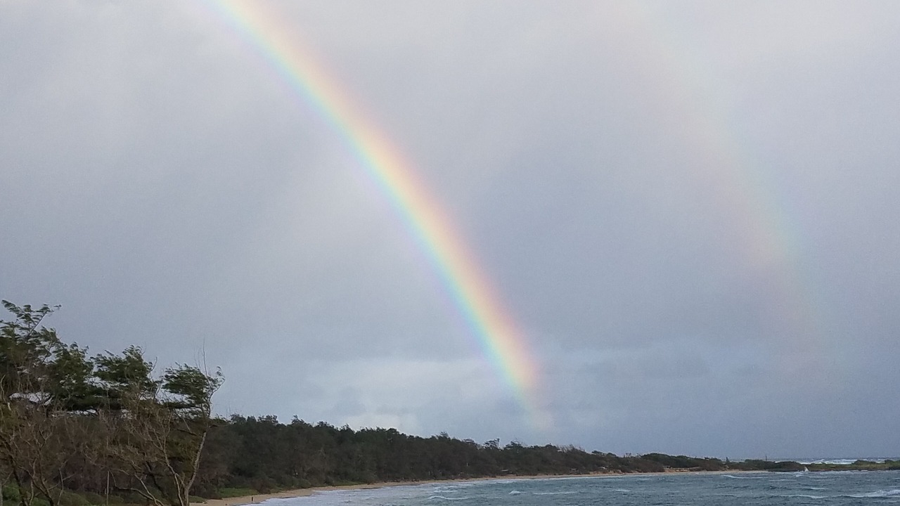 Photo of Others in Laie