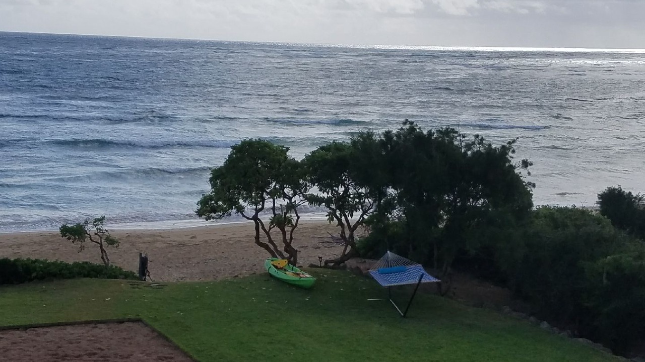 Photo of Others in Laie