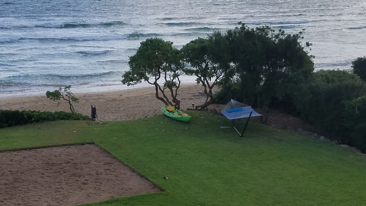 Photo of Others in Laie