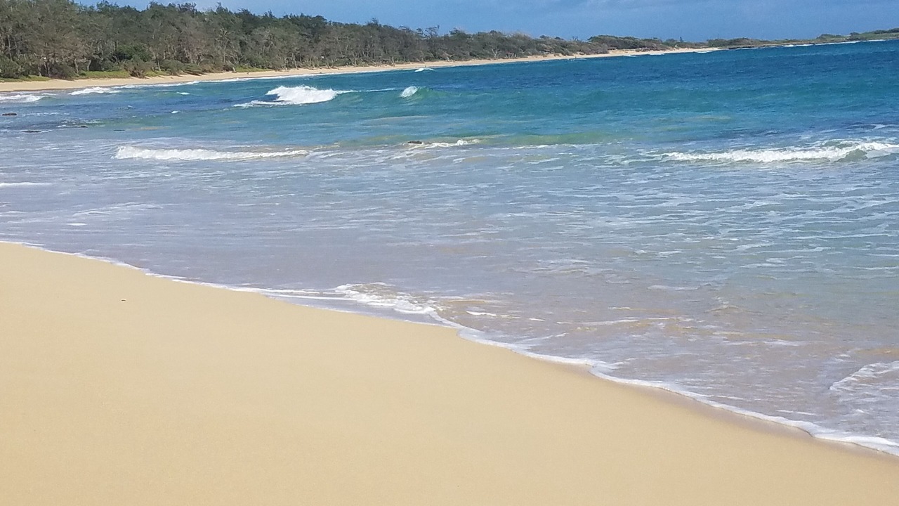 Photo of Others in Laie