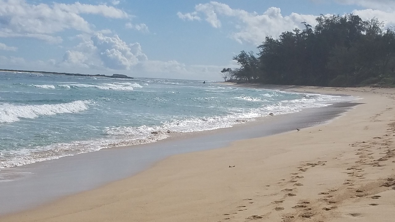 Photo of Others in Laie