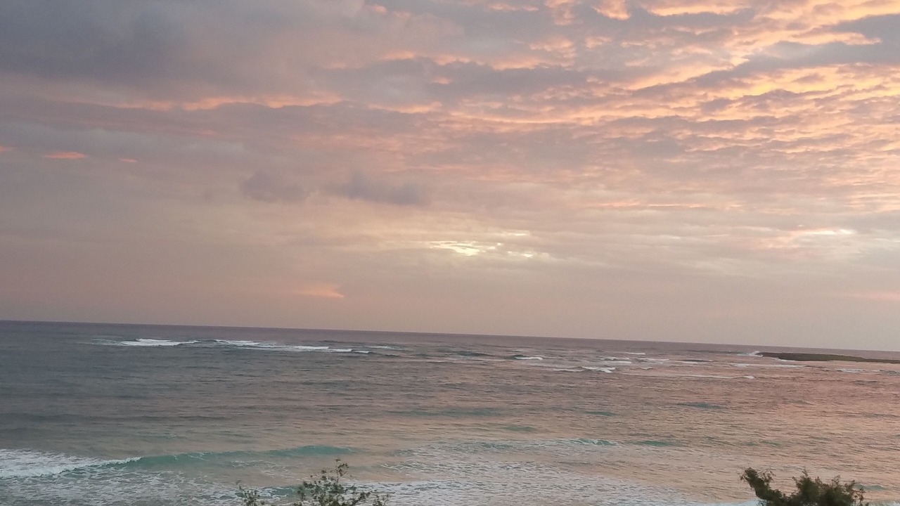Photo of Others in Laie