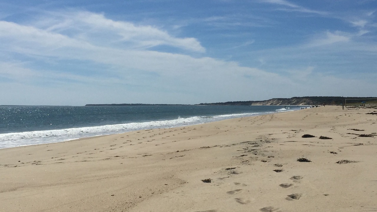 Photo of Others in Chilmark